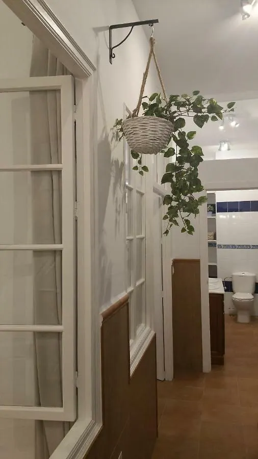 מאלגה Apartamento Ollerias דירה
